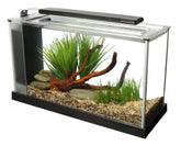 Fluval SPEC con iluminación LED de 37 diodos para colores vivos y plantas