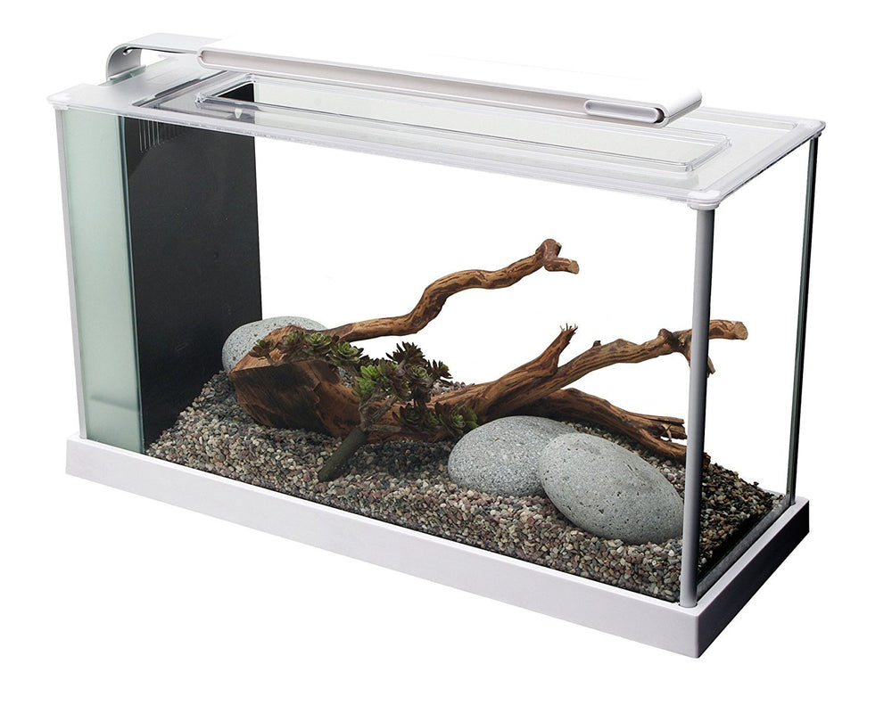 Fluval SPEC acuario con iluminación LED de 37 diodos para plantas y colores vivos