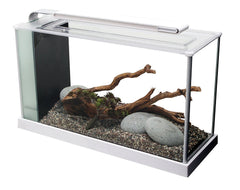 Fluval SPEC acuario con iluminación LED de 37 diodos para plantas y colores vivos