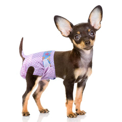 Flying Paws: pañales desechables para mascotas femeninas en celo con indicador de humedad.