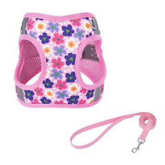 Flymind arnés de colocación fácil con flor XS para perros pequeños