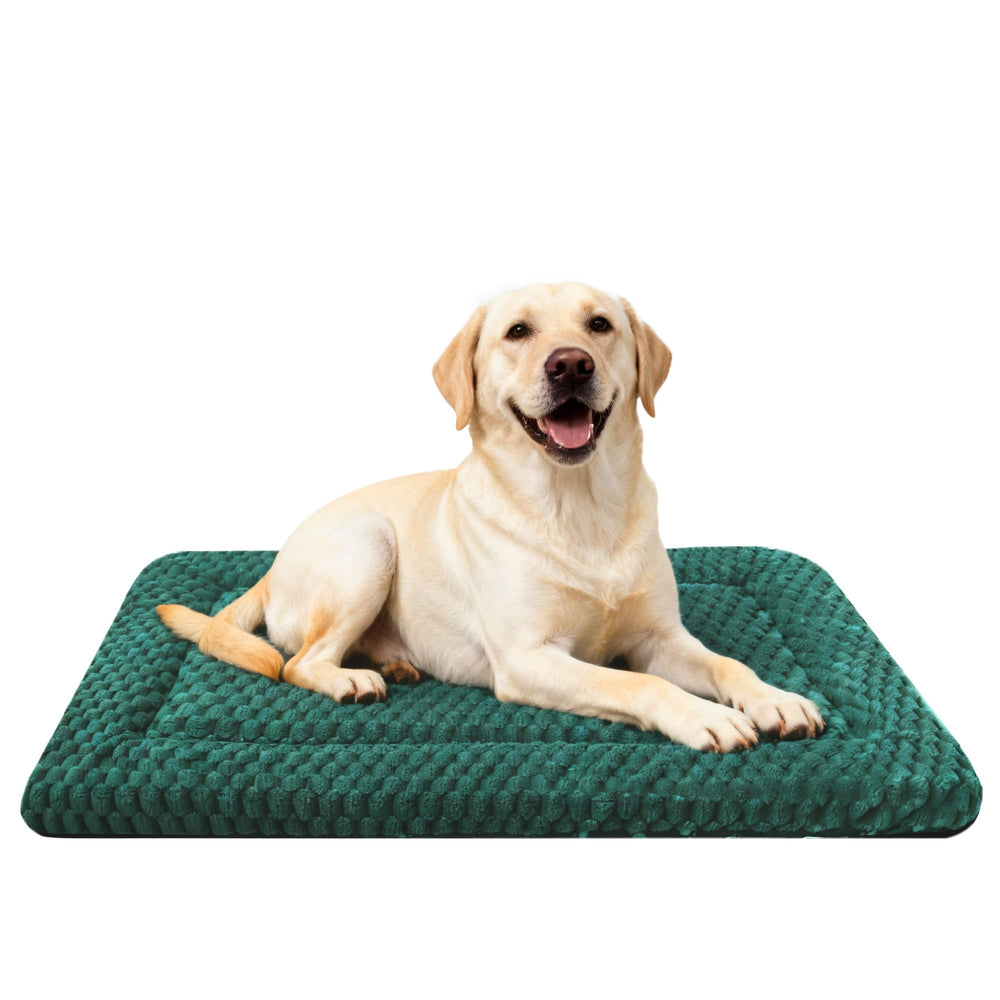 Fogkiss tapete para perro en jaula verde oscuro, cómodo y duradero