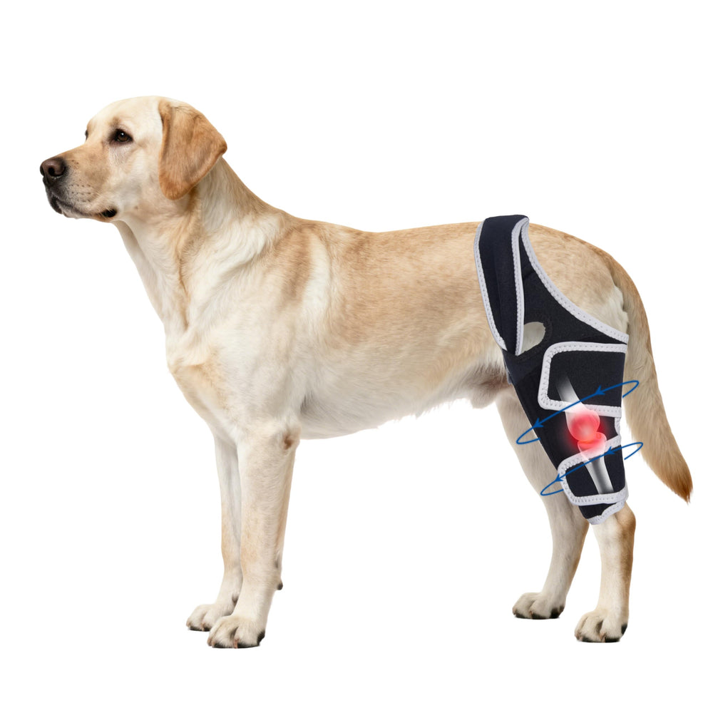 Foorose rodilla de perro con ajuste ajustable para mayor comodidad.