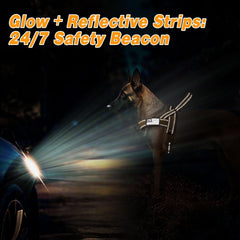 Bandas reflectivas Forestpaw para mayor visibilidad nocturna.