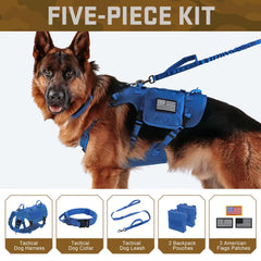 Forestpaw correa bungee táctica con asa para control suave