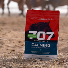 Formula 707: caballo en pista tranquilo; mejora enfoque durante entrenamiento.