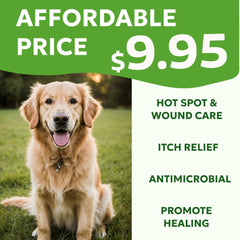 Forticept Hot Spot Spray aplicado en un perro con irritación localizada.