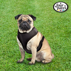 Arnés Four Paws con correa de nylon ajustable para un ajuste perfecto.