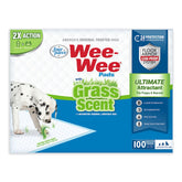 Four Paws tapete higiénico atrayente hierba en empaque compacto