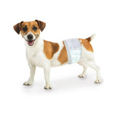 Four Paws Wee-Wee envoltura empaque para entrenamiento diario