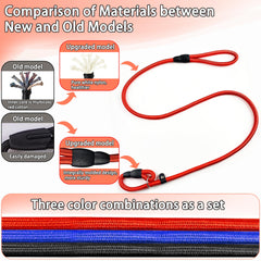 Conjunto de correas con visibilidad nocturna para paseos más seguros.