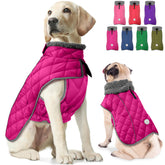 Fragralley abrigo para perro, vista frontal, calor y estilo para paseos