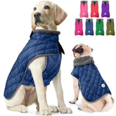 Fragralley abrigo de invierno para perros azul; protección cálida para paseos diarios.