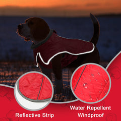 Fragralley abrigo reflectivo para perro para salidas nocturnas
