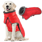 Fragralley capa impermeable para perro roja XXL, ideal para salidas bajo lluvia.