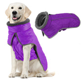 Chaqueta impermeable Fragralley para perro, vista frontal, mantiene seco al perro en lluvia.