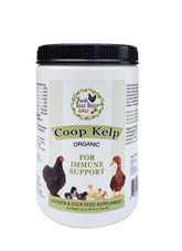 Fresh Eggs Daily coop-kelp-feed orgánico en envase de 20oz para aves de corral