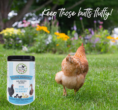 Cuchara medidora de Fresh Eggs Daily Probióticos para dosificar en el alimento.