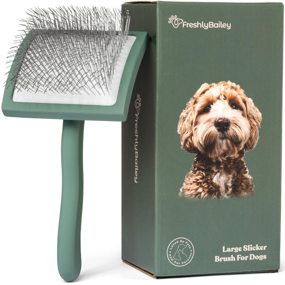 Freshly Bailey Doodle Brush elimina matas para pelaje limpio