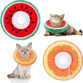 Frienda collar cono gato naranja, protege la herida y facilita comer.