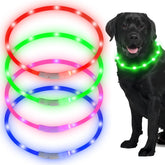 Collar LED Frienda azul para perros, visibilidad nocturna mejorada