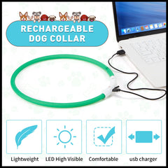 Collar LED Frienda rosa para perros, seguridad durante paseos