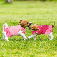 Frienda disfraz perro día de San Valentín, perfecto para looks festivos y fotos.