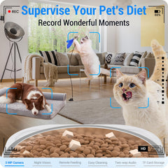 Frienhund alimentador gatos almacenamiento 7L comida fresca durante semanas