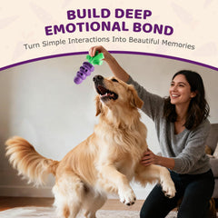 Frienhund Juguete con textura dental en morado, apoya la higiene bucal durante la masticación.
