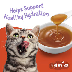 Friskies Lil' Gravies bolsa abierta muestra porción individual para servir