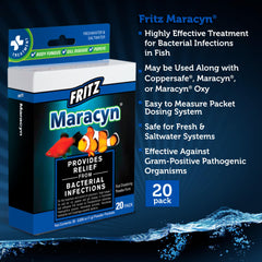 Peces de agua dulce bajo tratamiento Fritz Maracyn para infecciones bacterianas.