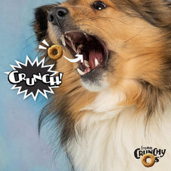 Fromm Crunchy Os Bacon Blasters, envase con cierre hermético, práctico para llevar a paseos.