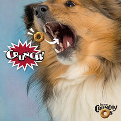 Fromm Crunchy Os Pot Roast Punchers sabor carne de res para perros