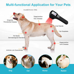 Frovab Cold Laser para perros controlado por pantalla para uso en casa