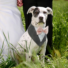 FUAMEY esmoquin para perro, banda-pajarita, ideal para bodas o cumpleaños.