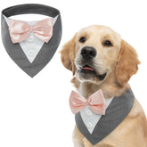 FUAMEY esmoquin para perro con bandana gris XL, ideal para eventos formales.