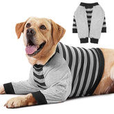 FUAMEY manga-recuperacion-perro-frente protege articulaciones delanteras para mayor comodidad.