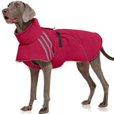 FUAMEY chamarra impermeable para perros grandes, ideal para paseos bajo la lluvia.