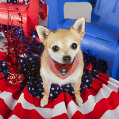 FUAMEY esmoquin canino con lazo ajustable, perfecto para eventos y fotos.