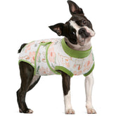 FUAMEY traje recuperación para perro modelo poniéndose, cómodo y fácil de vestir