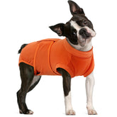 FUAMEY traje-recuperacion-perro: diseño cómodo para colocar y quitar.