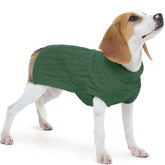 FUAMEY suéter para perro grande con cuello alto verde, ideal para paseos fríos
