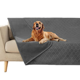 Fuguitex manta impermeable para perro 40x60, protege el sofá.
