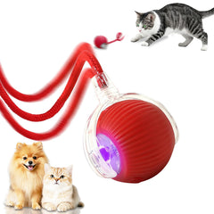 FUICZSN bola interactiva en acción para gatos, activación automática.