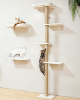 FUKUMARU estantes-pared-gatos: soporte estable para juego y descanso.