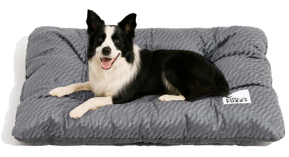 FUNNY FUZZY cama para perro XL, vista general para jaula grande y reposo