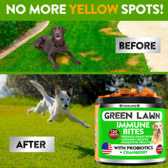 Enfoque primer plano de ingredientes naturales para el cuidado urinario del perro
