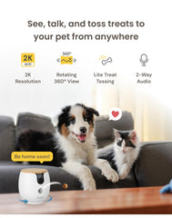 Furbo Mini 2K QHD: imagen clara para ver cada detalle de tu compañero.