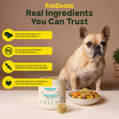 FurBound Polvo Multivitamínico para perros destacando articulaciones y movilidad.