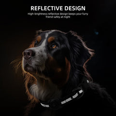 Collar Furrigo acolchado suave para confort diario de perros activos